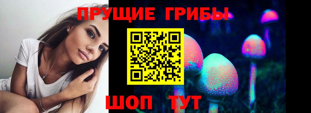 Галлюциногенные грибы Cubensis Дальнереченск